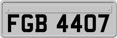 FGB4407