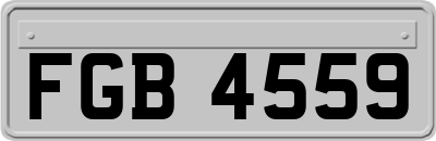FGB4559