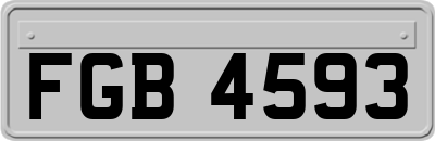 FGB4593