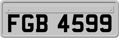 FGB4599