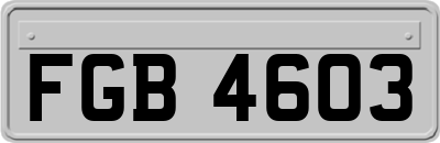 FGB4603