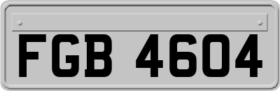 FGB4604