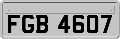FGB4607