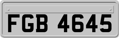 FGB4645