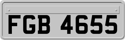 FGB4655