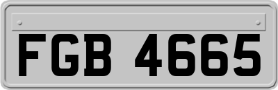 FGB4665