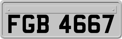 FGB4667