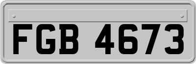 FGB4673
