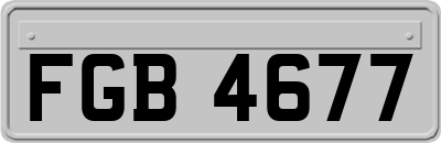 FGB4677