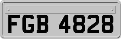 FGB4828
