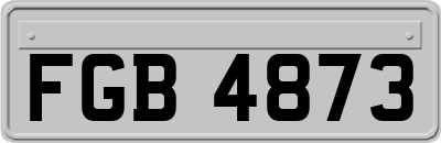 FGB4873