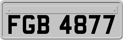 FGB4877