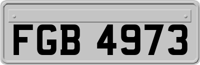 FGB4973