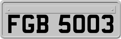 FGB5003