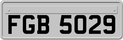 FGB5029