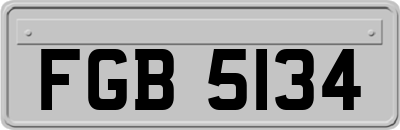 FGB5134