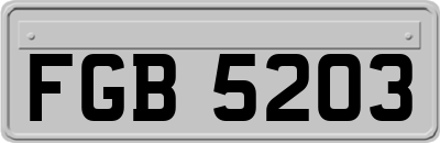 FGB5203