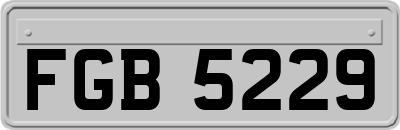 FGB5229