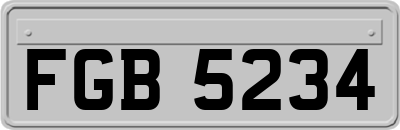 FGB5234