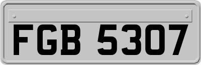 FGB5307
