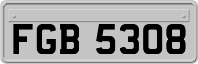 FGB5308