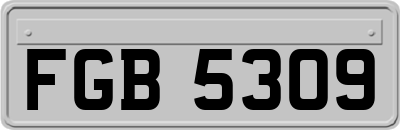 FGB5309