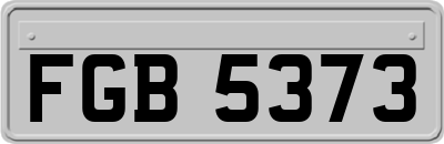 FGB5373