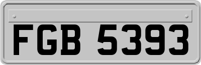 FGB5393
