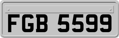 FGB5599