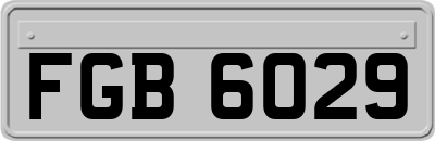 FGB6029