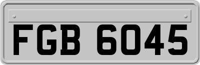 FGB6045