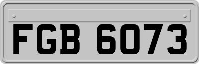 FGB6073