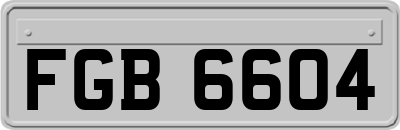 FGB6604