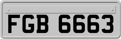 FGB6663