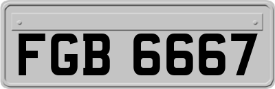 FGB6667