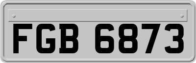 FGB6873