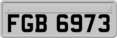 FGB6973