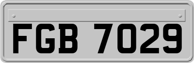 FGB7029