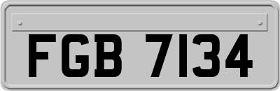 FGB7134