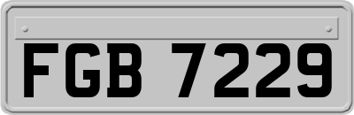FGB7229