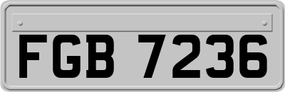 FGB7236