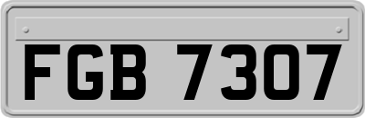 FGB7307