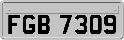 FGB7309