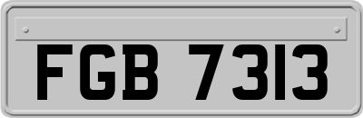 FGB7313