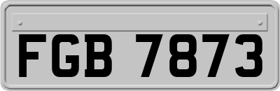 FGB7873