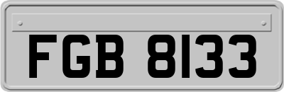 FGB8133