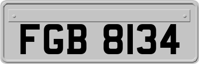 FGB8134