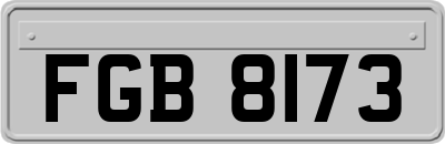 FGB8173