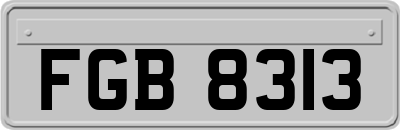 FGB8313