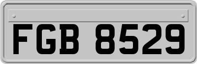 FGB8529
